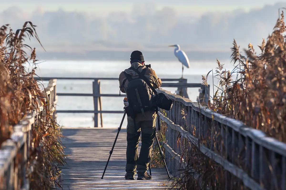 Beginner's Guide to Birdwatching at Titchwell Marsh