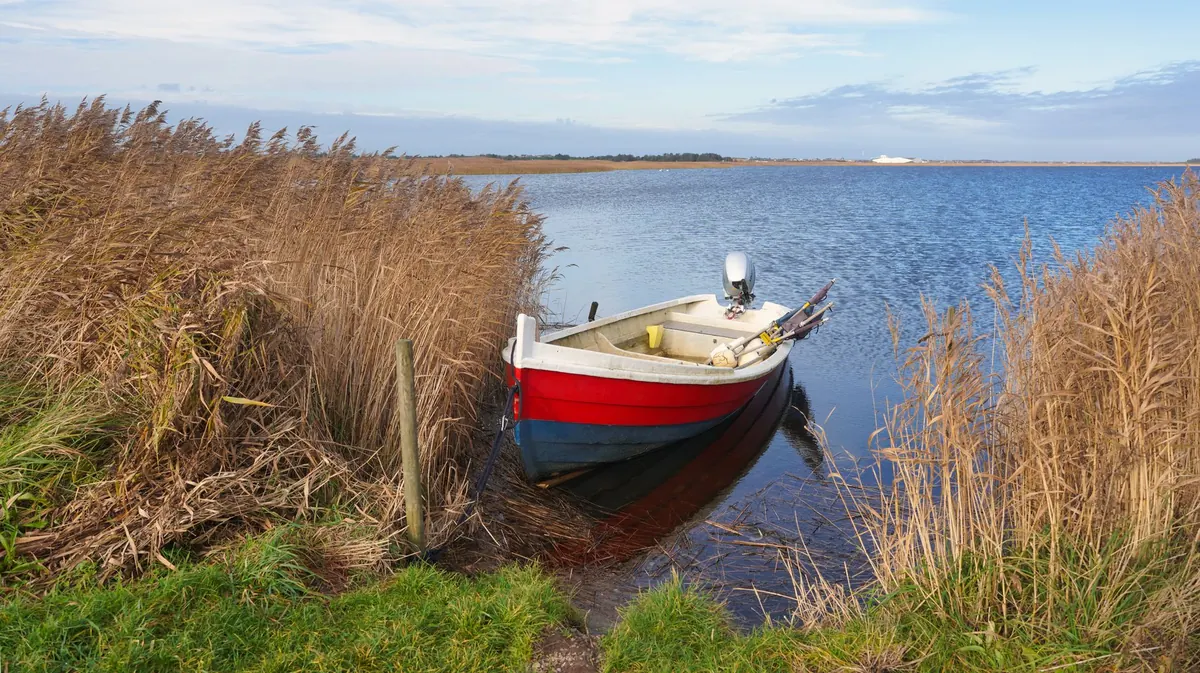 How to Explore the Norfolk Broads by Boat Without a Licence: A Beginner's Guide